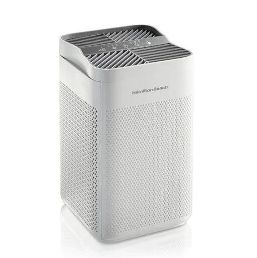 Air Purifier with TrueAir® EverLasting™ Reusable Filters