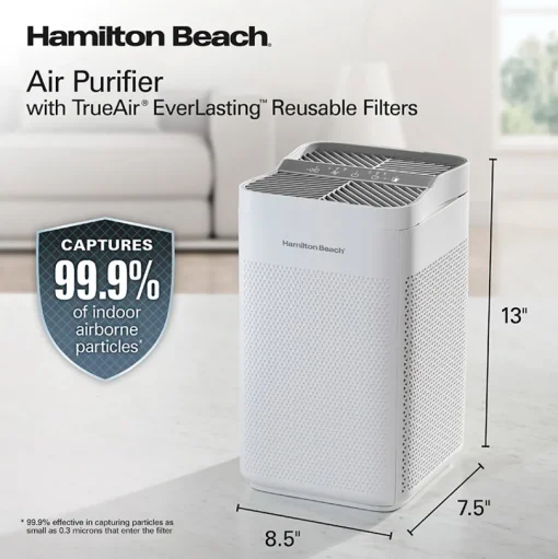 Air Purifier with TrueAir® EverLasting™ Reusable Filters