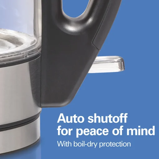 Compact 1 Liter Glass Kettle