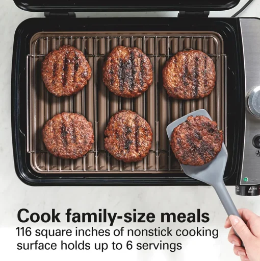 Indoor Searing Grill with Hot/Cold Smoke Infuser
